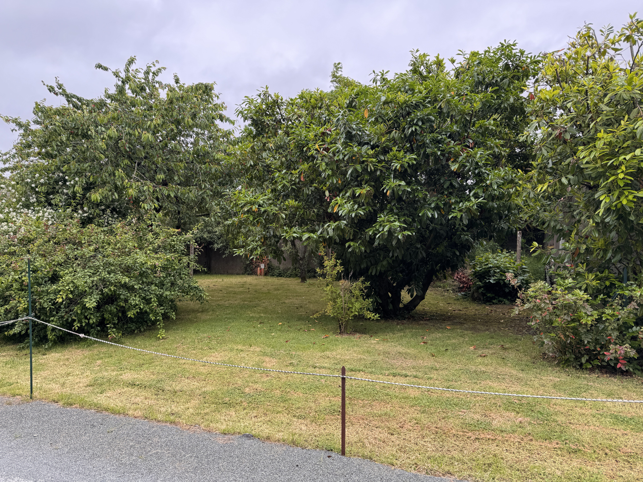 Terrain Saint-Philbert-de-Grand-Lieu - 530m² photo 1